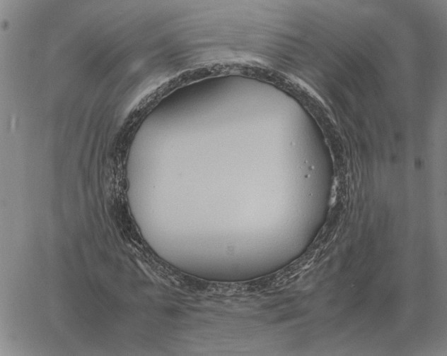 X0000061720775200512231407