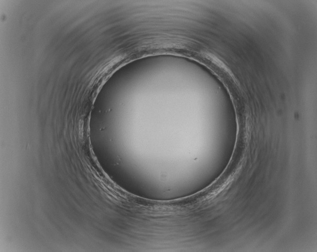 X0000061720777200512231407