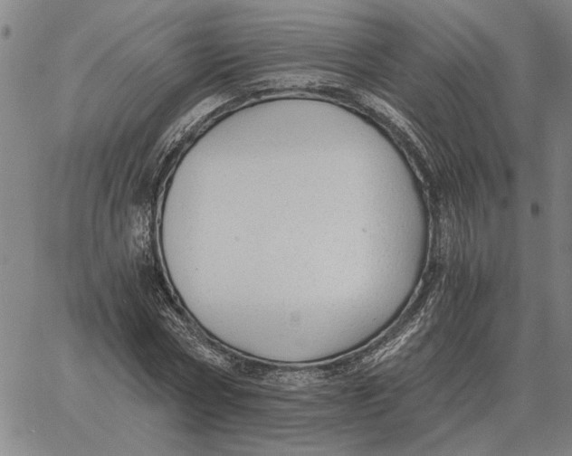 X0000061720778200512231407