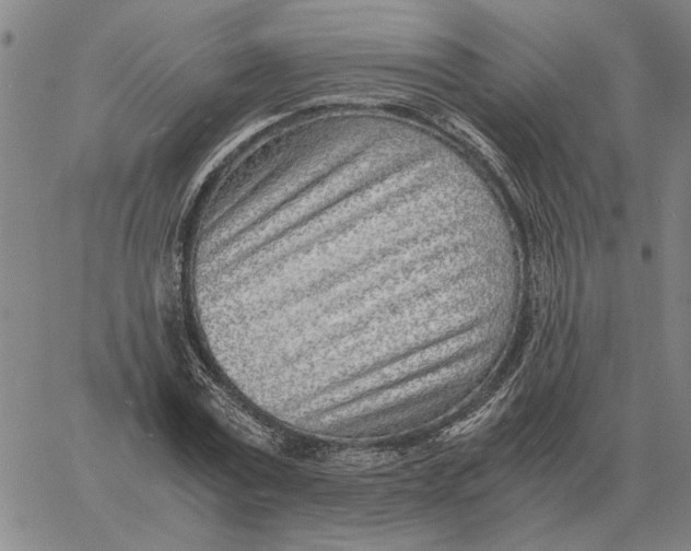 X0000061720779200512231407