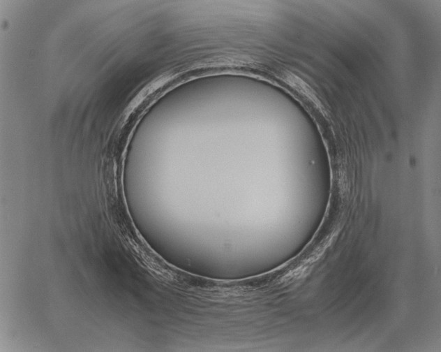 X0000061720781200512231407