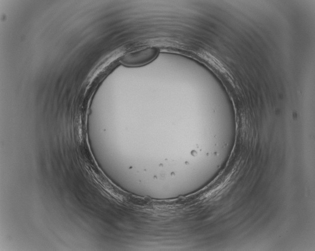 X0000061720782200512231407