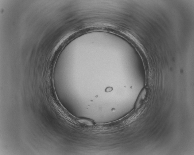 X0000061720783200512231407