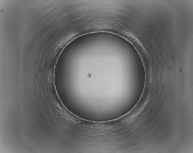 X0000061720785200512231407