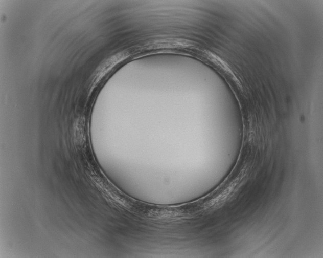 X0000061720786200512231407