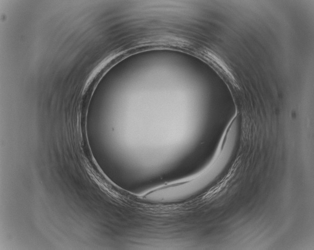 X0000061720788200512231407