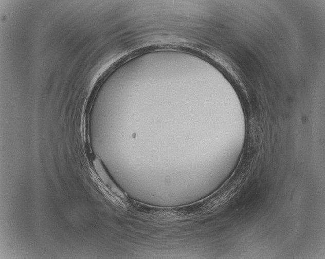 X0000061720791200512231407