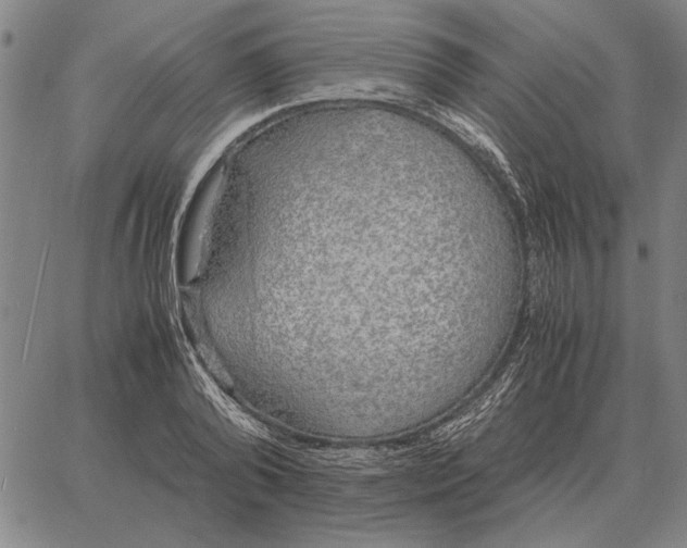 X0000061720792200512231407