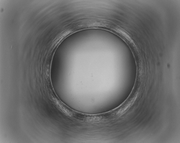 X0000061720793200512231407