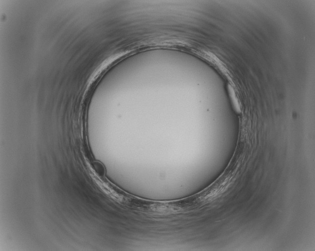 X0000061720795200512231407