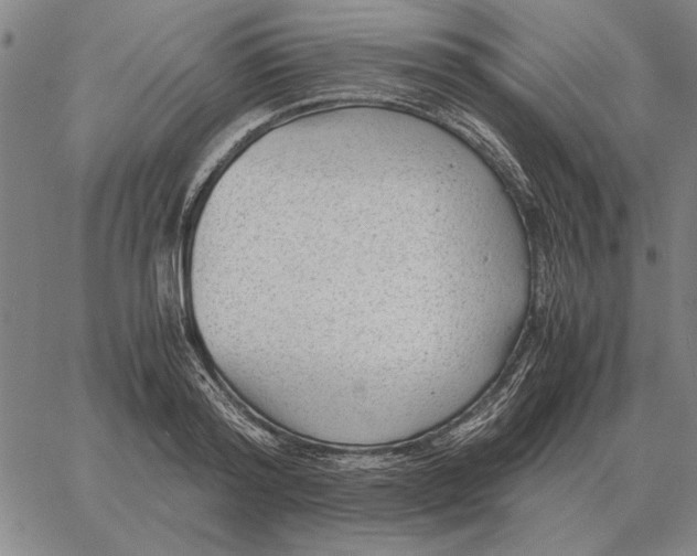 X0000061720796200512231407