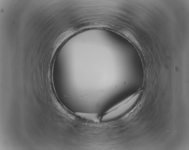 X0000061720797200512231407