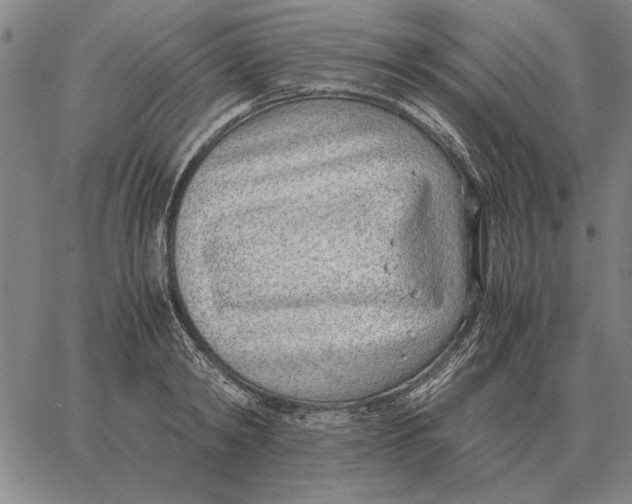 X0000061720798200512231407