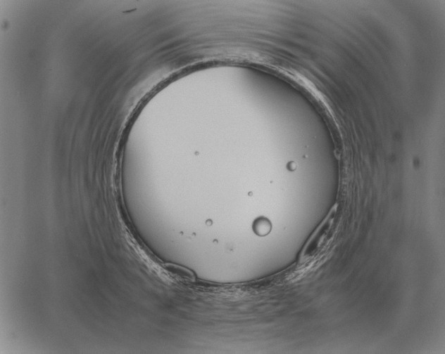 X0000061720799200512231407