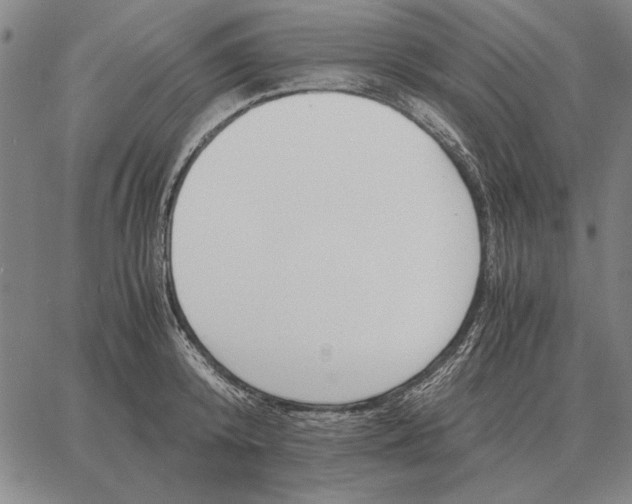 X0000061720800200512231407