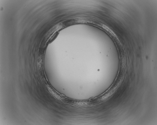 X0000061720801200512231407