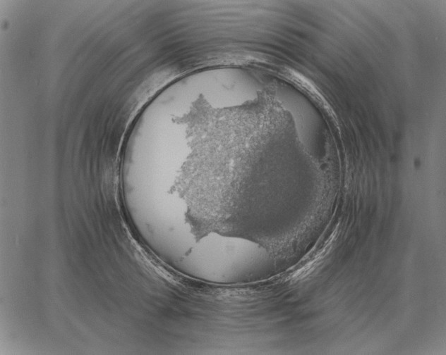 X0000061720802200512231407