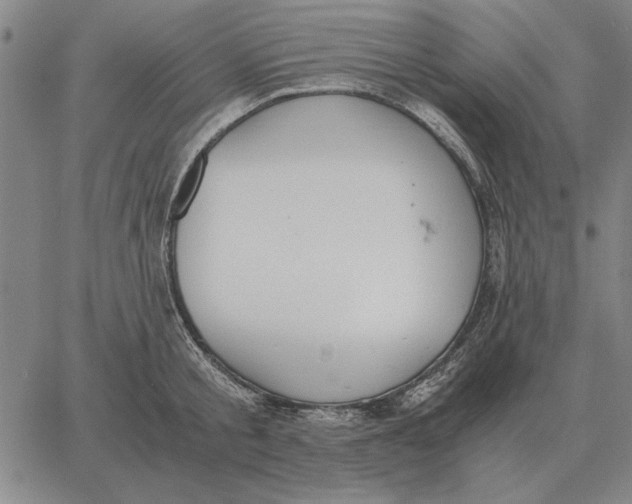 X0000061720805200512231407