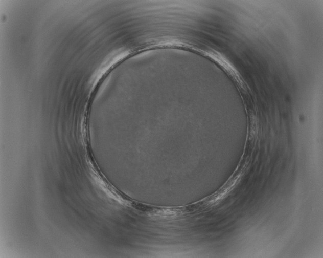 X0000061720806200512231407