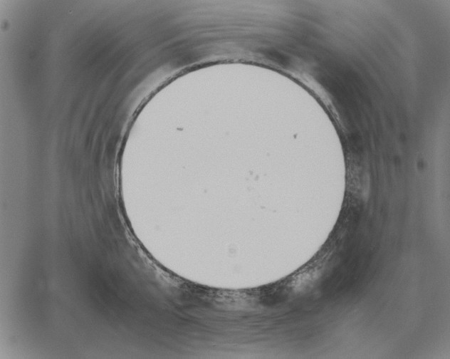 X0000061720807200512231407