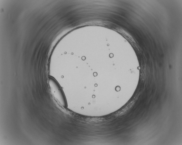 X0000061720808200512231407