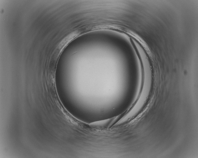 X0000061720809200512231407