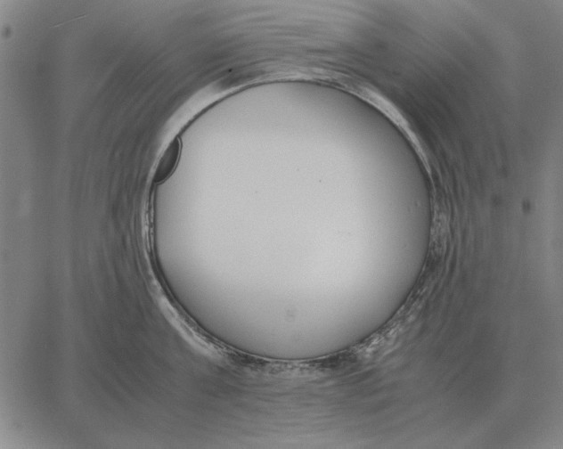 X0000061720811200512231407