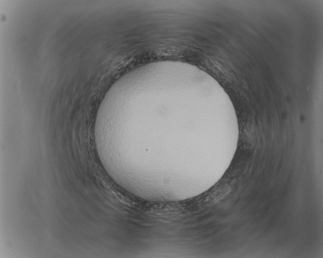 X0000061720817200512231406