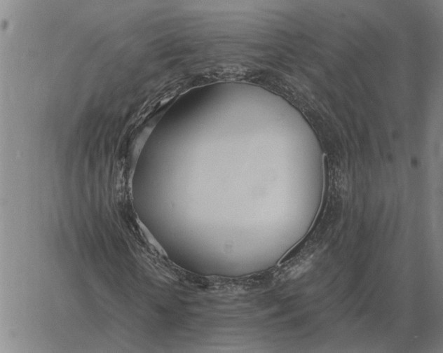 X0000061720818200512231406