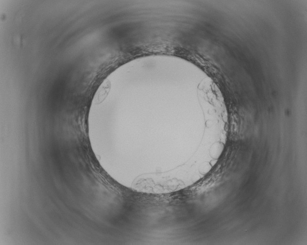 X0000061720820200512231406