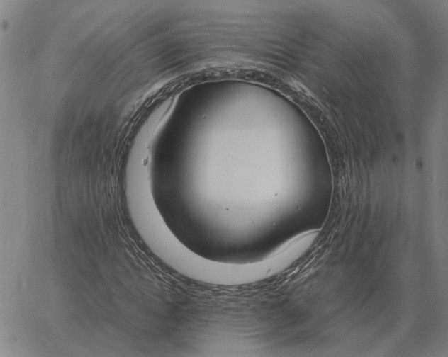 X0000061720822200512231406