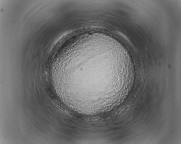 X0000061720823200512231406