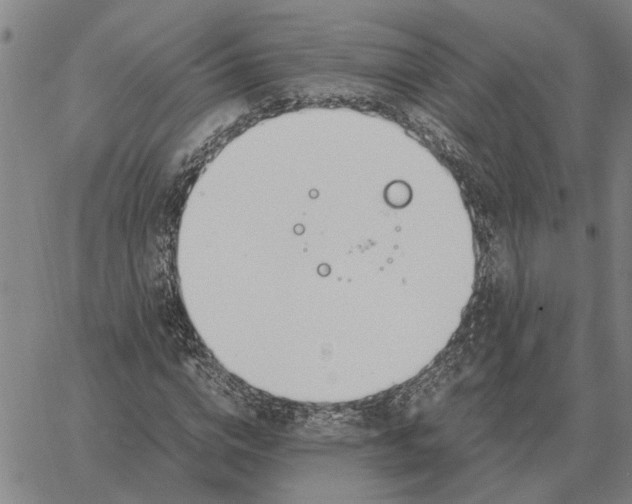 X0000061720824200512231406