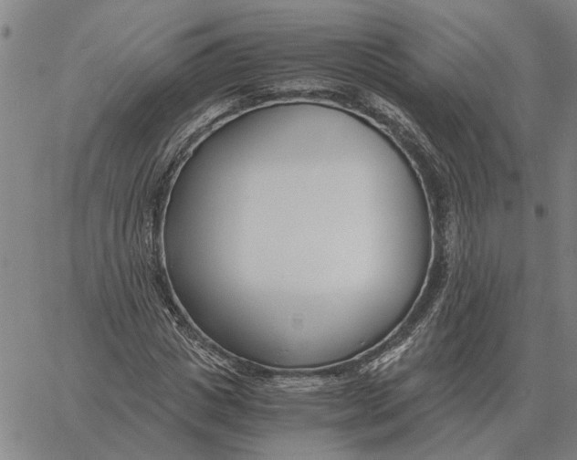 X0000061720825200512231406