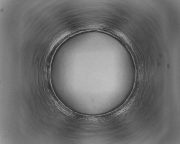 X0000061720827200512231406