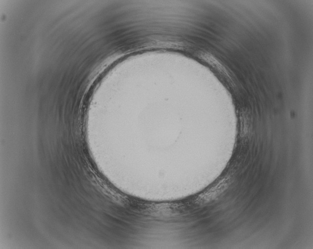 X0000061720828200512231406