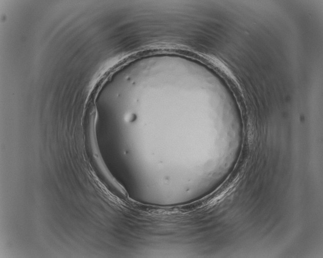 X0000061720831200512231406