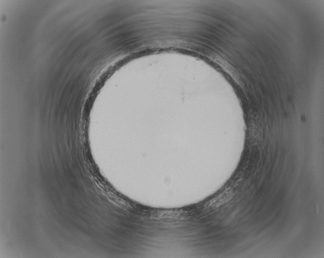 X0000061720832200512231406