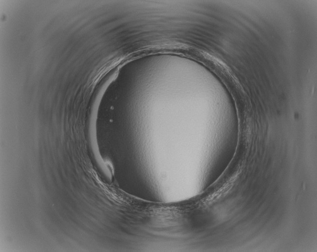 X0000061720833200512231406