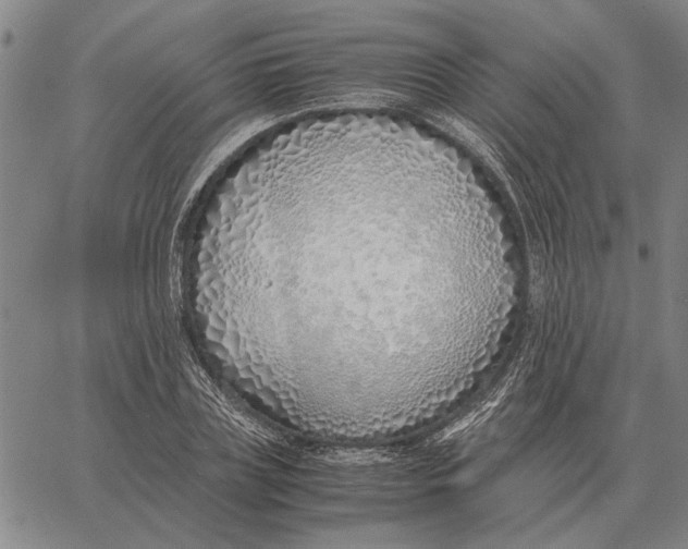 X0000061720835200512231406