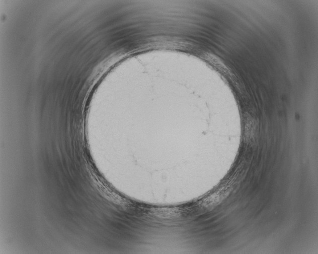 X0000061720836200512231406