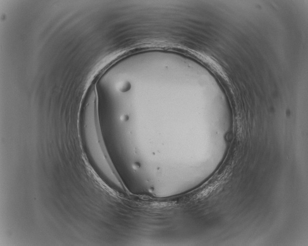 X0000061720839200512231406