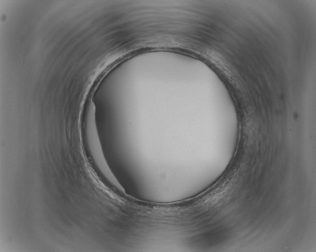 X0000061720840200512231406