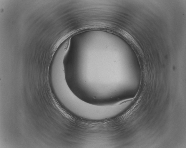 X0000061720842200512231406