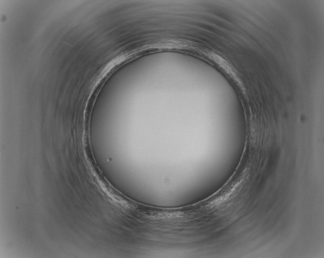 X0000061720845200512231406