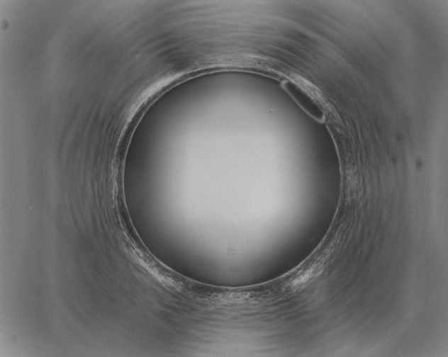 X0000061720846200512231406