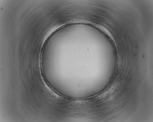 X0000061720847200512231406