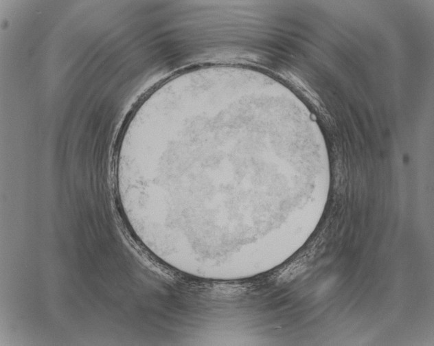 X0000061720848200512231406