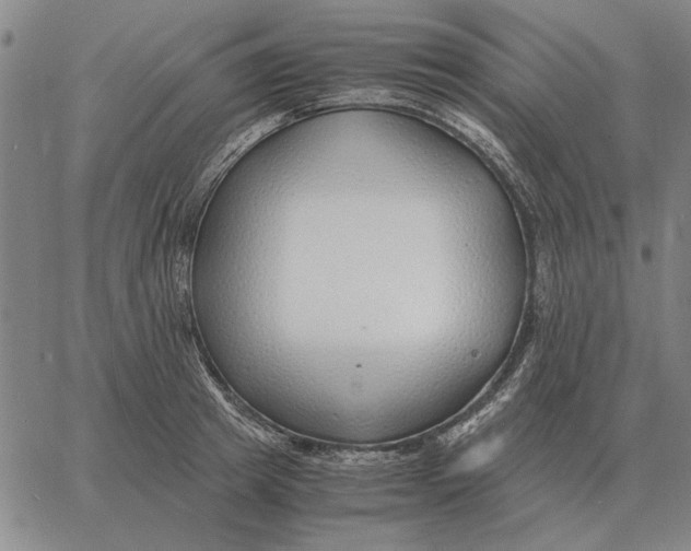 X0000061720849200512231406