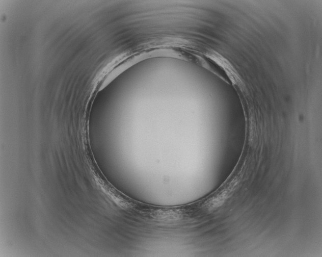 X0000061720850200512231406